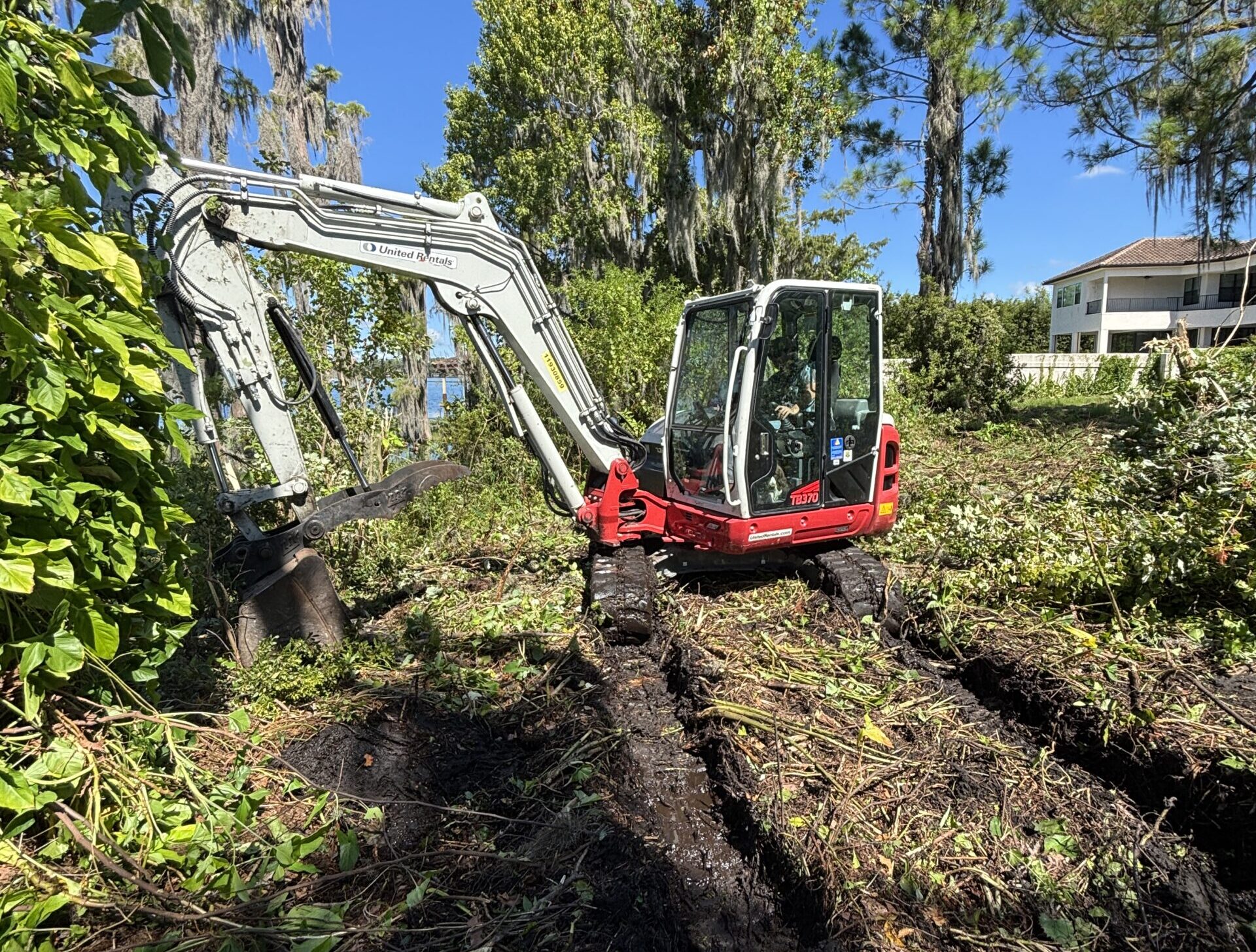 1 acre land cleanup removing invasive plant species in Windermere Florida