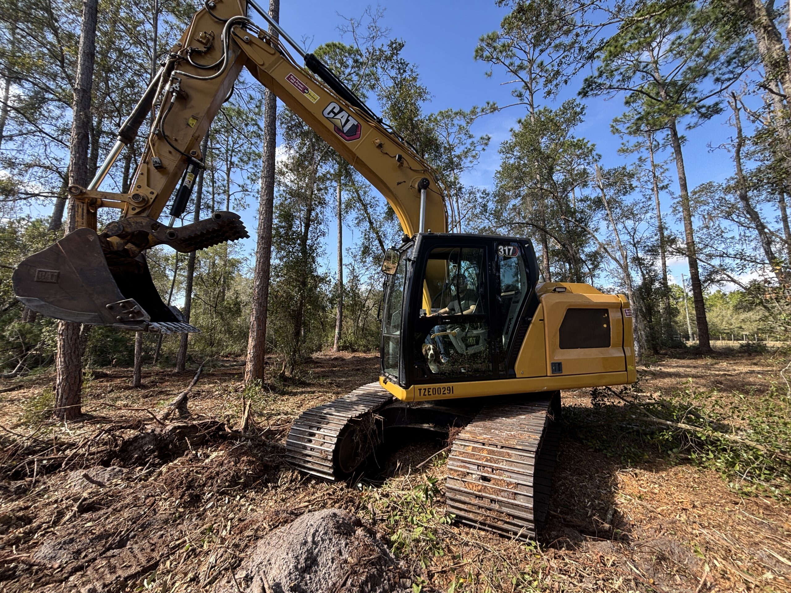 Land Clearing 8