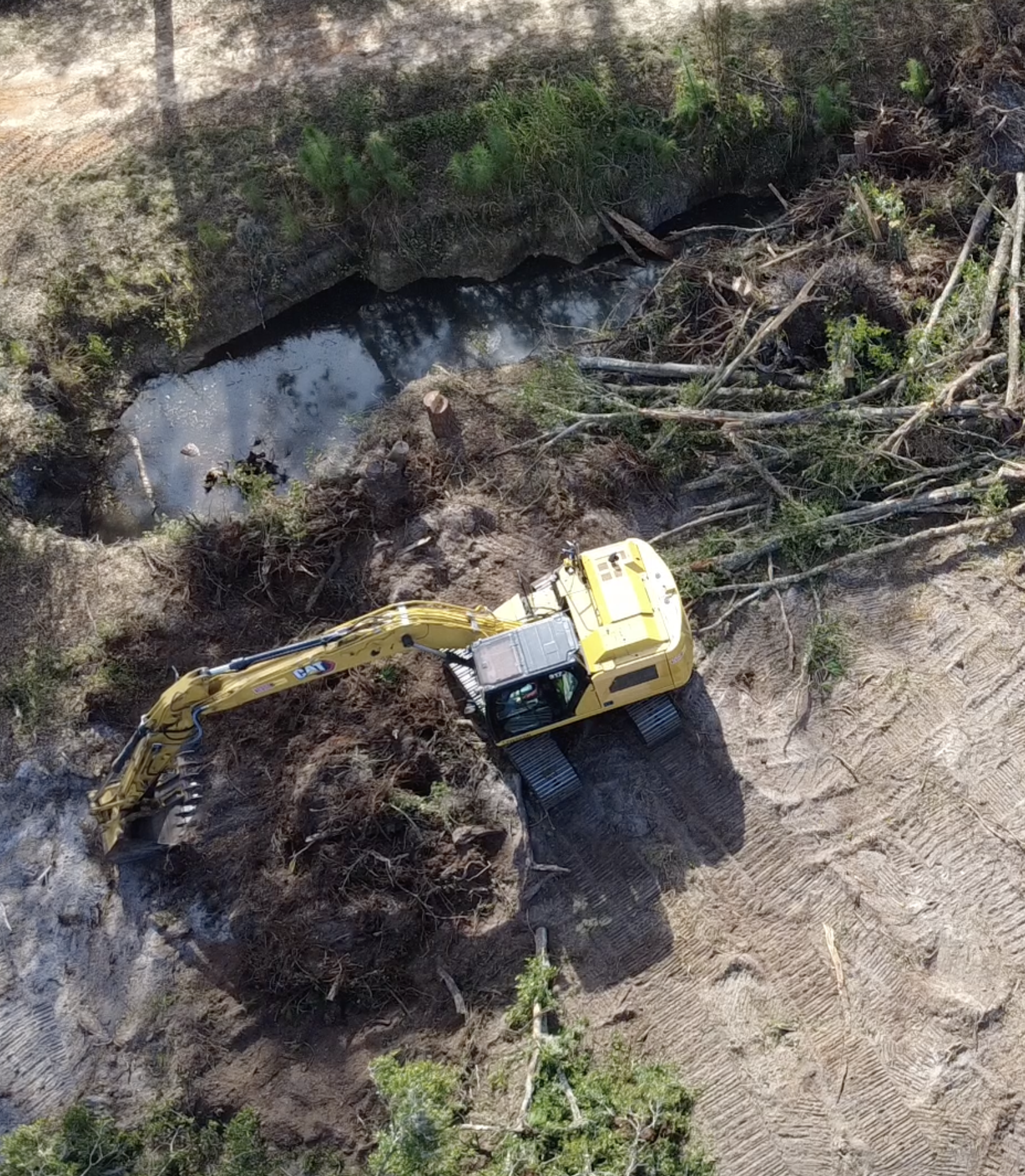 Cat 317 excavator clearing pine trees on a residential lot in Marion County Florida for site preparation