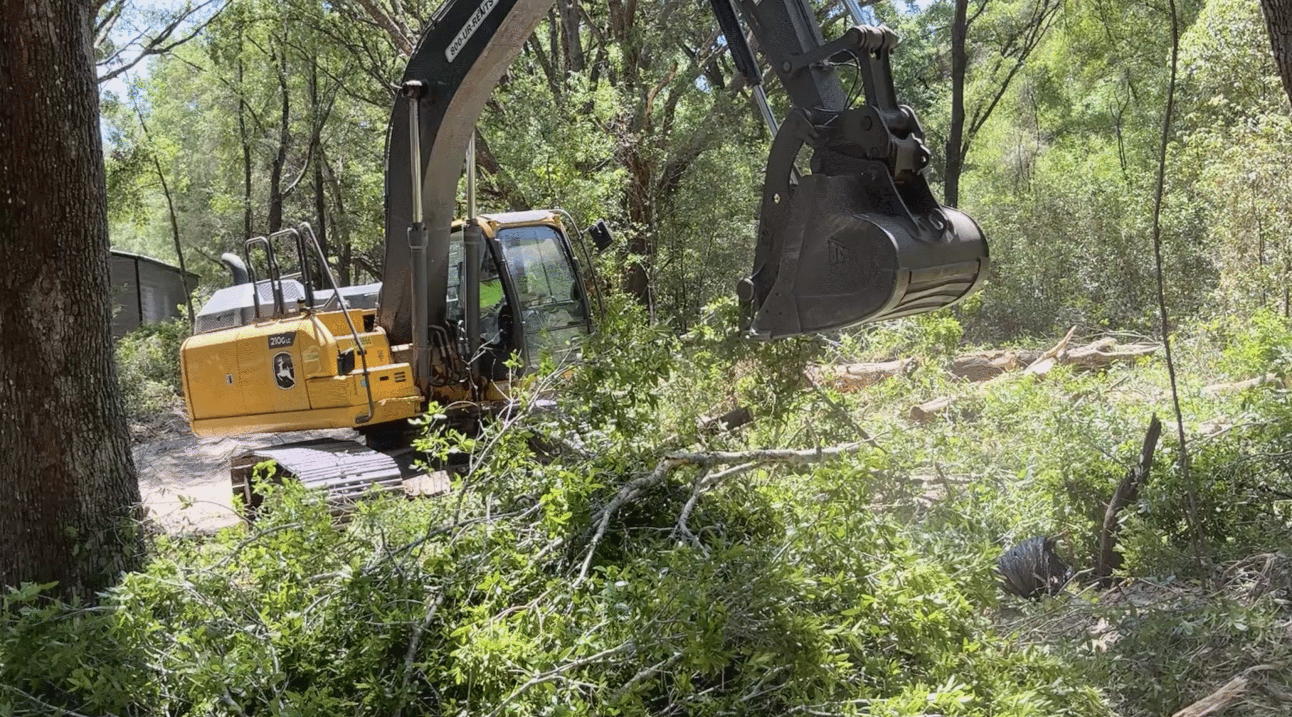 Land clearing for 50 by 350 foot driveway removing trees and brush near Leesburg Florida in Lake County